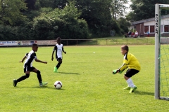 2016-06-03 SV Rees (33 von 90)